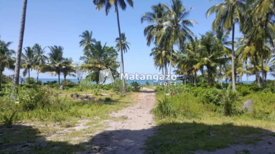 Beach Prot Pangani