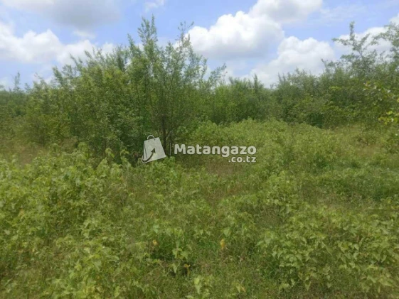 Shamba Linauzwa  Kiwangwa 30
