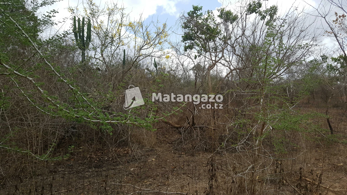 Shamba Linauzwa