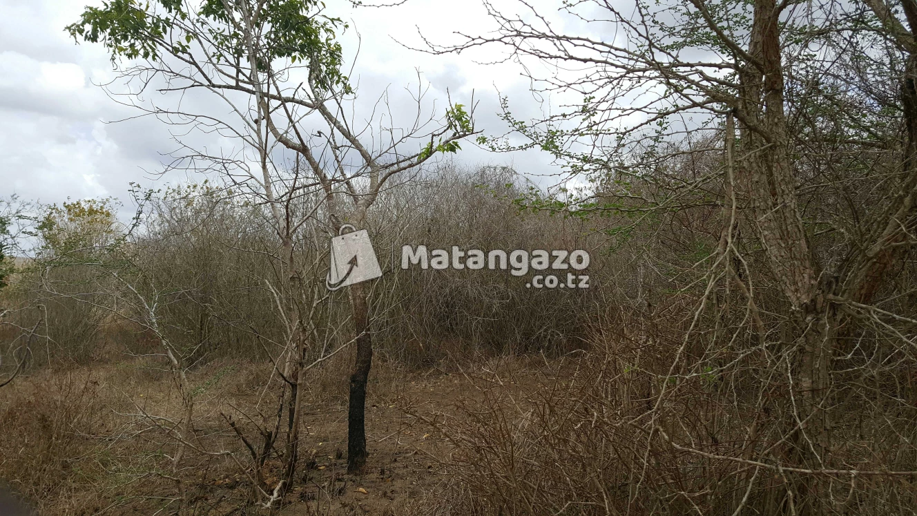 Shamba Linauzwa