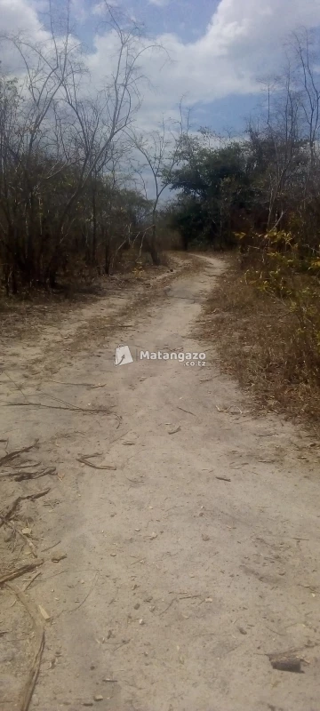 Shamba La Eka 10