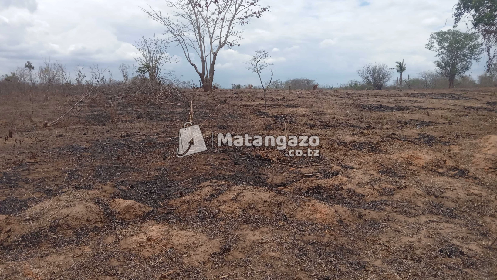 Shamba Linauzwa Mwetemo