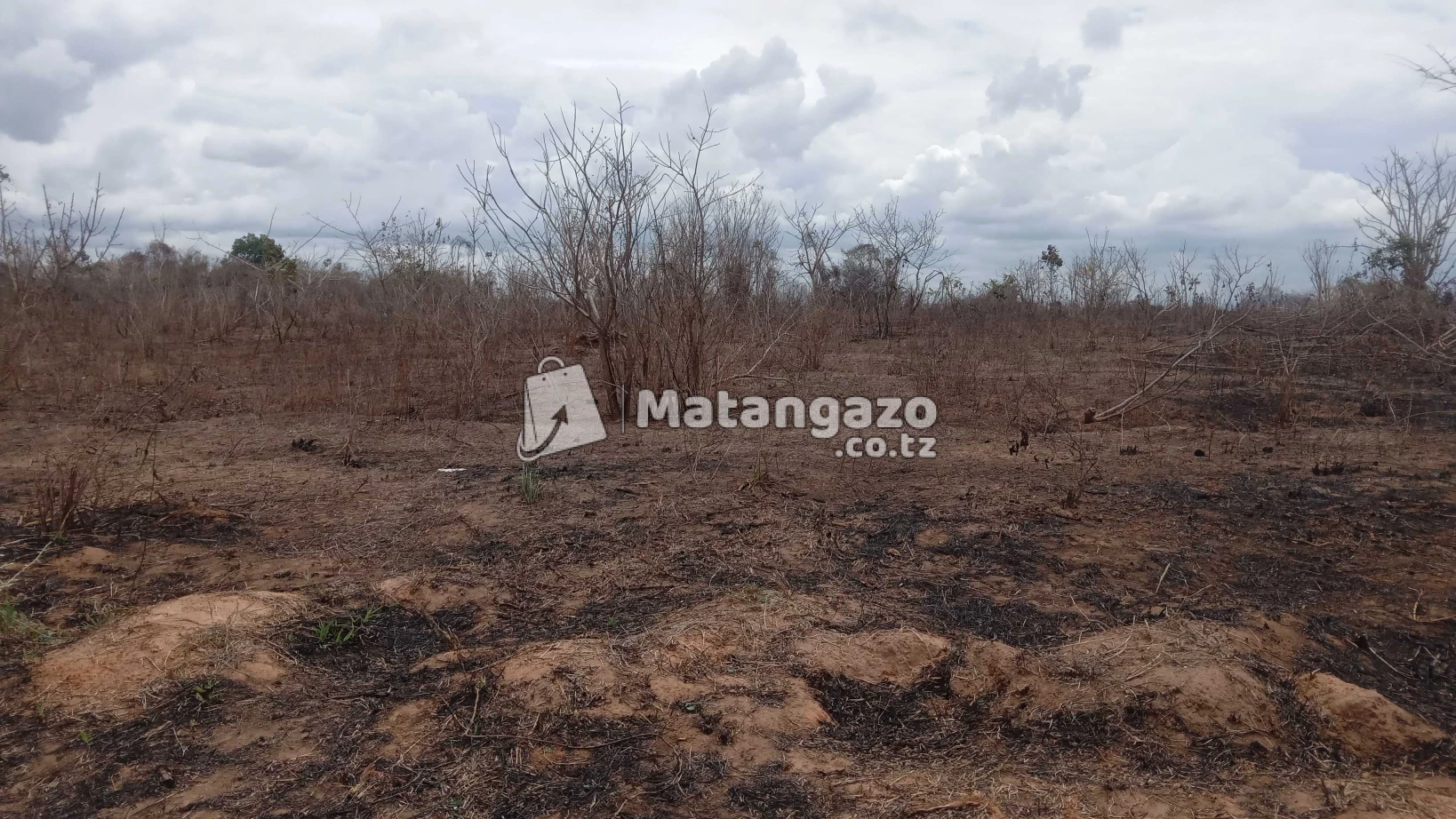 Shamba Linauzwa Mwetemo