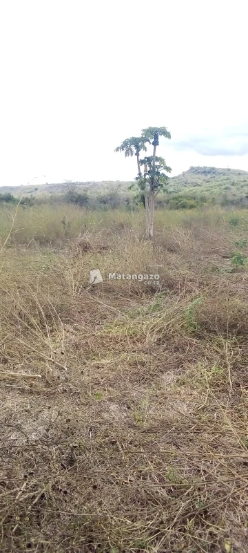 Shamba La Eka 20 Kiwangwa Linauzwa
