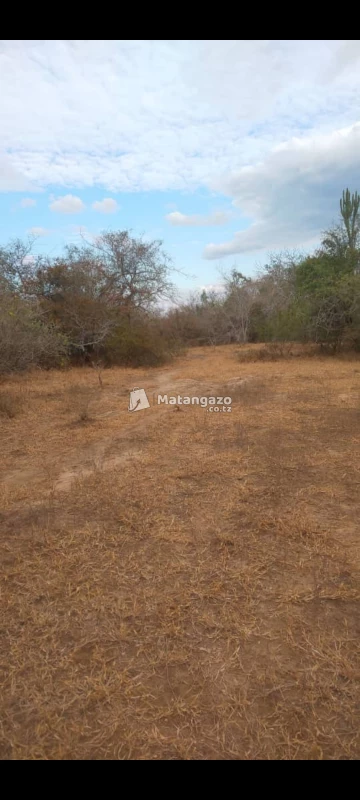 Shamba La Eka 300 Linauzwa Mkata