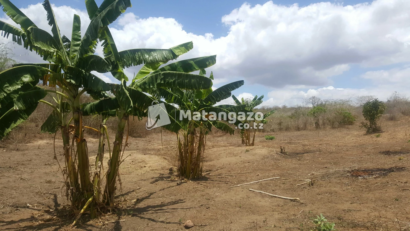 Shamba  Linauzwa  Mbwewe