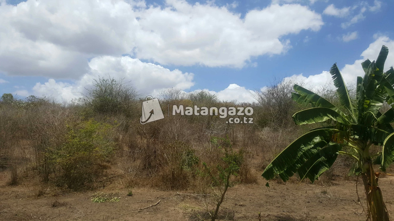 Shamba  Linauzwa  Mbwewe