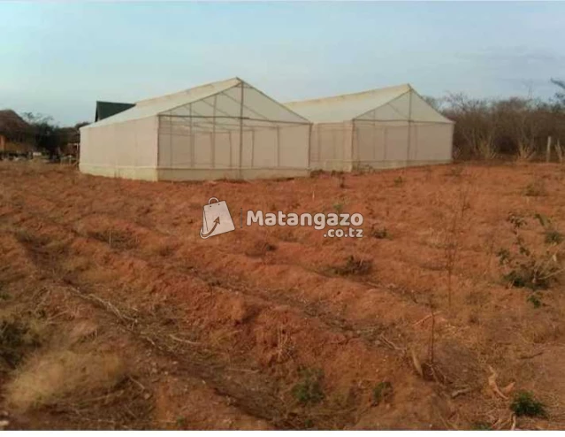 Greenhouse Construction/installation