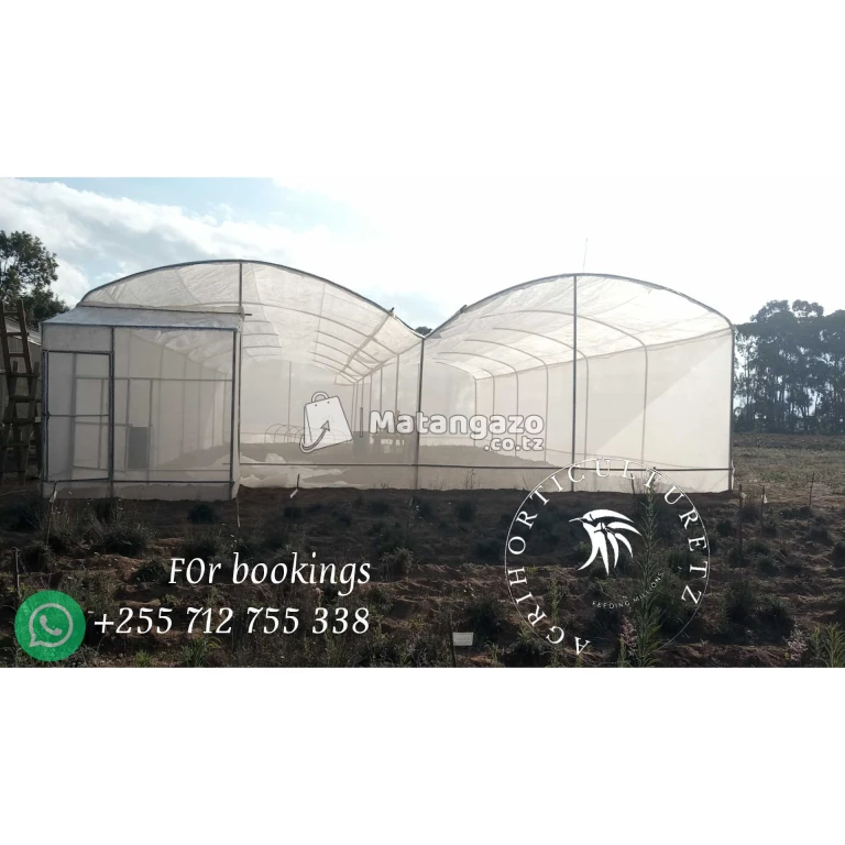 Greenhouse Construction/installation