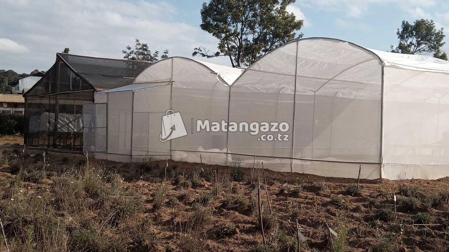 Greenhouse Construction/installation
