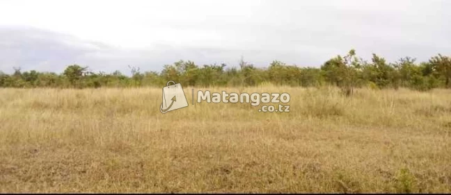 Shamba Linauzwa Mbwewe Heka 100