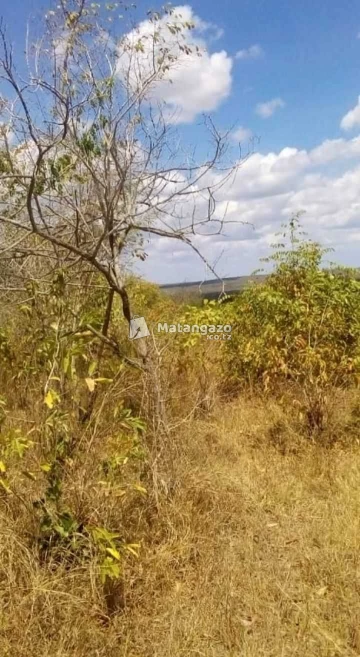 Shamba Linauzwa Mbwewe Heka 100