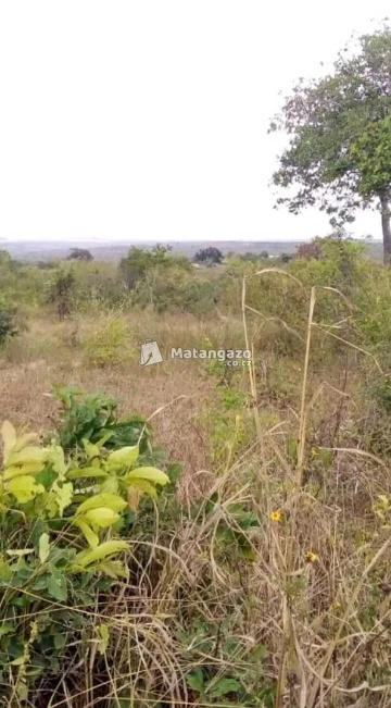 Shamba Linauzwa Heka 300 Bagamoyo Kiwangwa