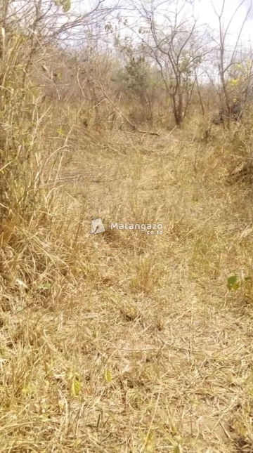 Shamba Linauzwa Heka 300 Bagamoyo Kiwangwa