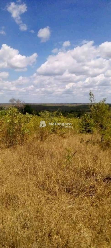 Shamba Heka 200 Linauzwa Bagamoyo