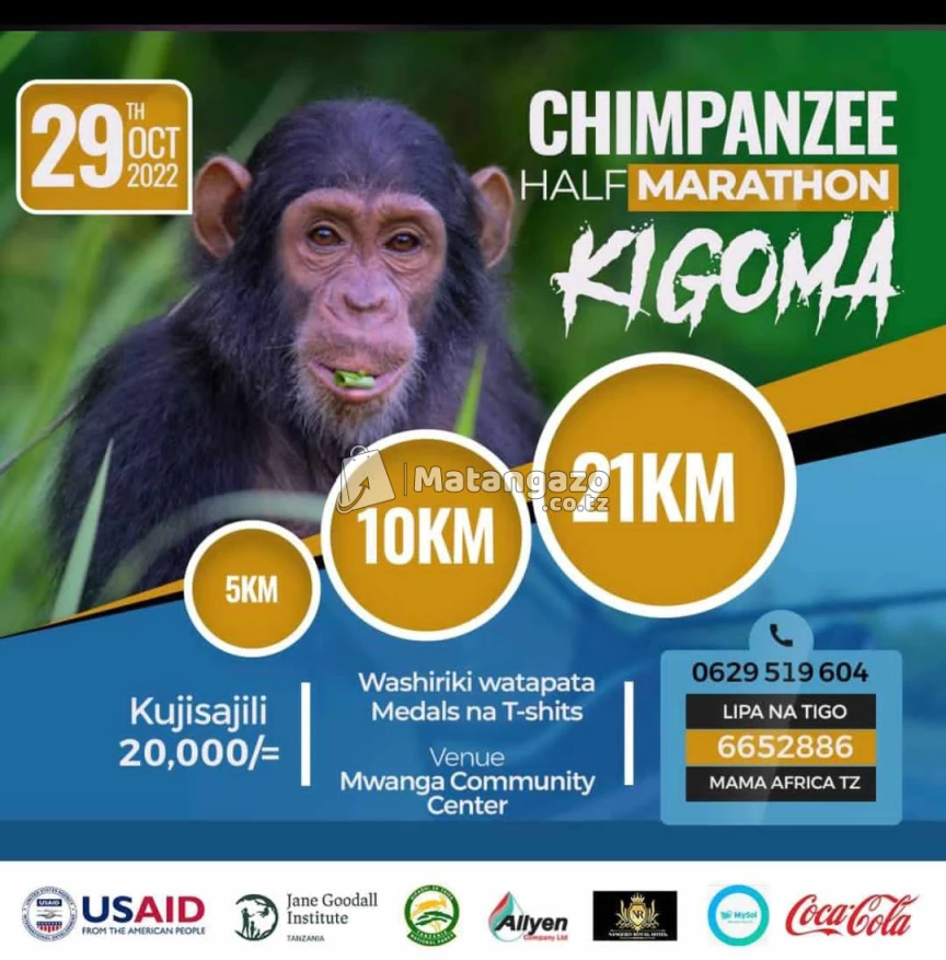 Chimpanzee Half Marathon