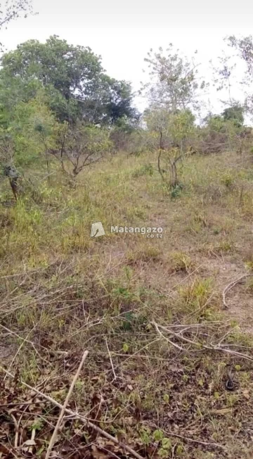 Shamba Linauzwa Heka 50