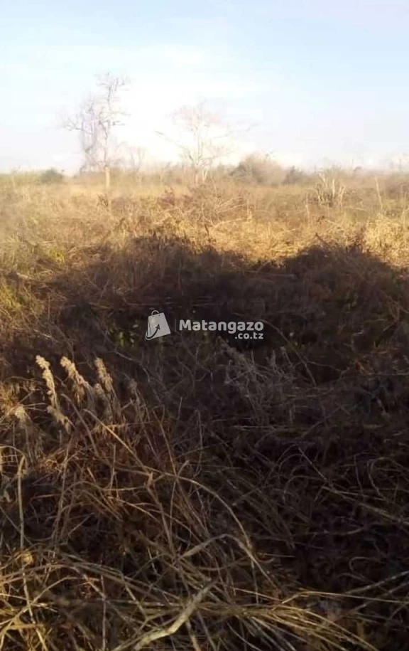 Shamba Linauzwa Heka 50