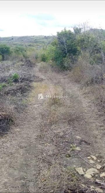 Shamba Linauzwa Heka 200 Mbwewe