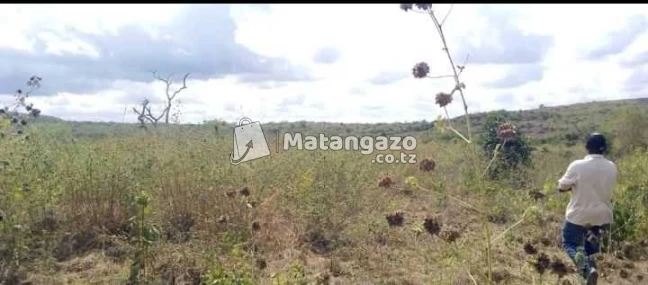 Shamba Linauzwa Heka 200 Mbwewe