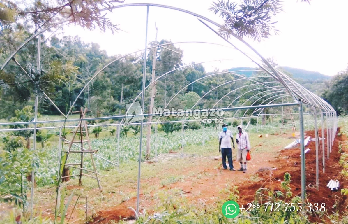 Metal Greenhouse Tunnel 8x30m²