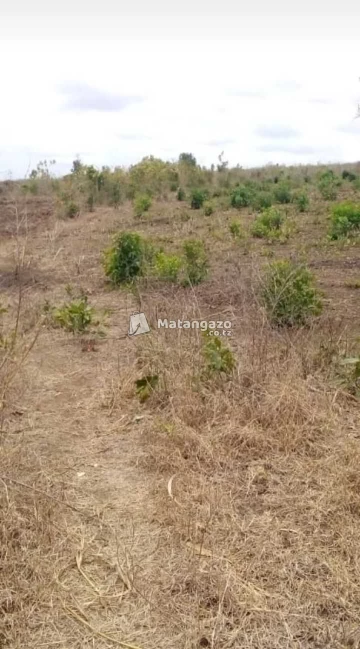 Shamba Linauzwa Bagamoyo Kiwangwa Heka 5