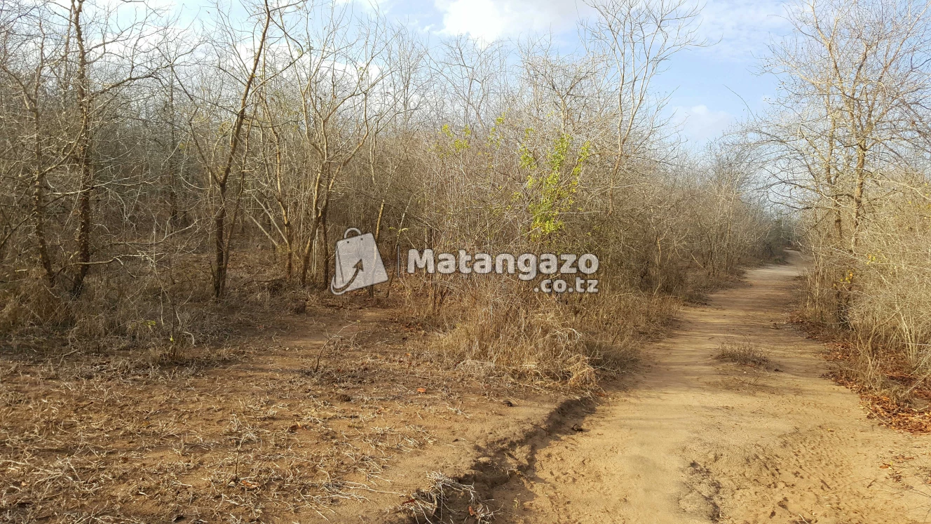 Shamba Linauzwa Mbwewe Eka 300
