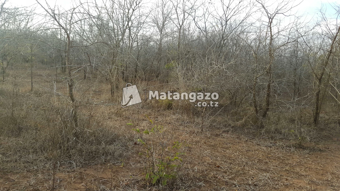 Shamba Linauzwa Mbwewe Eka 300