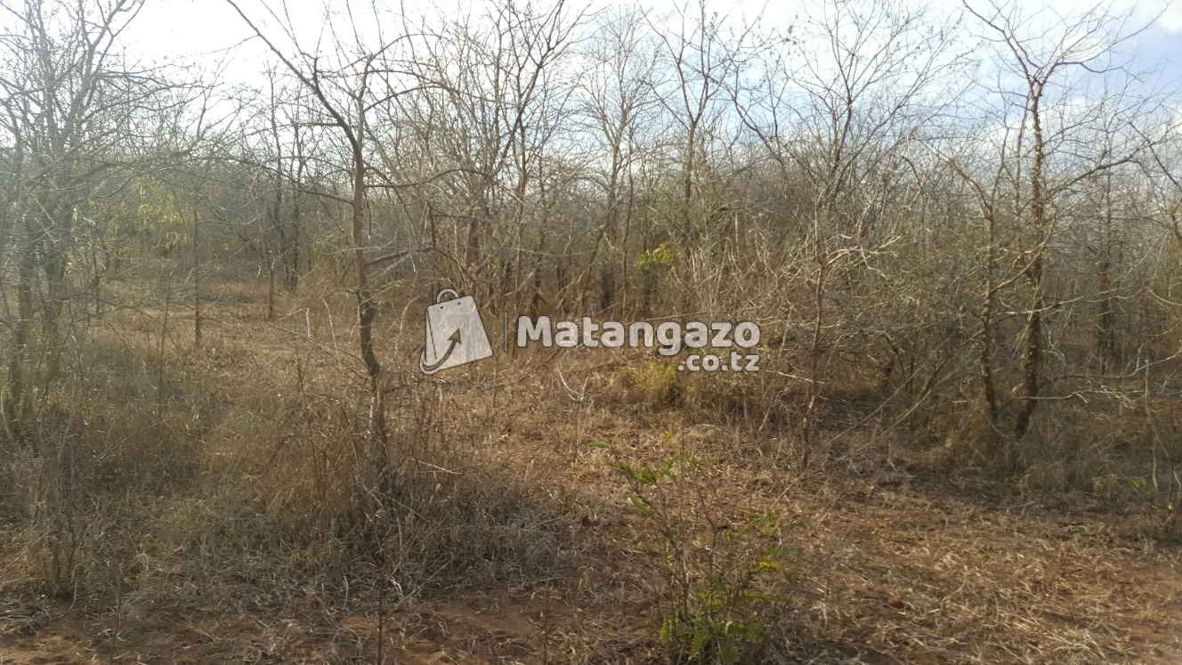 Shamba Linauzwa Mbwewe Eka 300