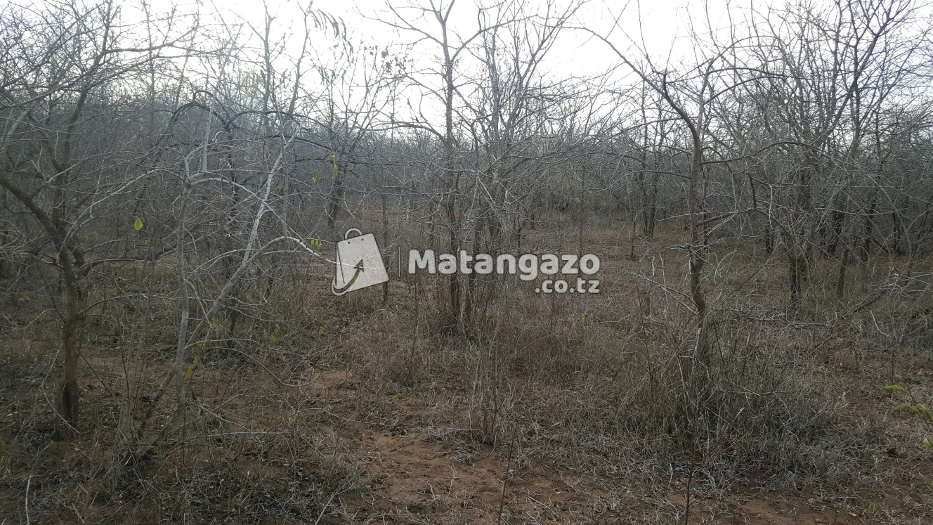 Shamba Linauzwa Mbwewe Eka 300
