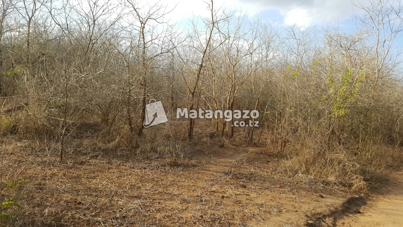 Shamba Linauzwa Mbwewe Eka 300