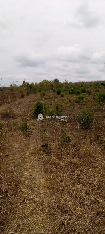 Shamba La Eka 5 Linauzwa Kiwangwa Bagamoyo