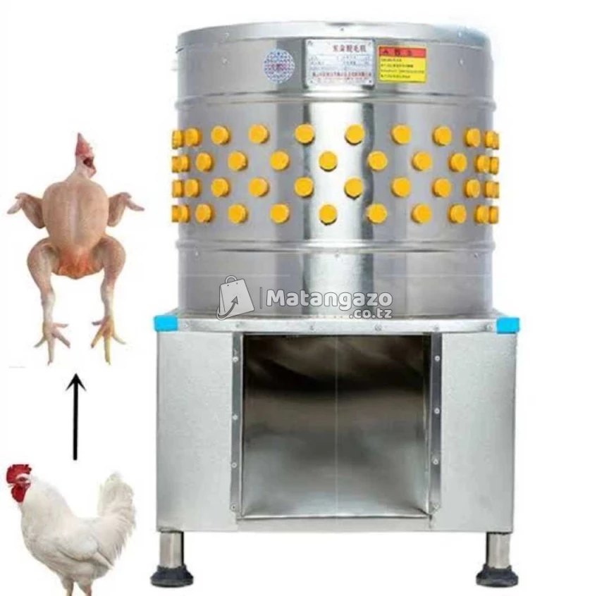 Featherless Chicken Machine