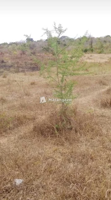 Shamba Heka 100 Linauzwa Mkata Tanga