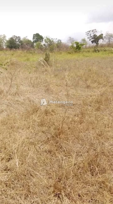 Shamba Linauzwa Mbwewe Heka 40