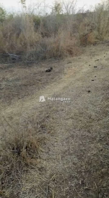Shamba Linauzwa Mbwewe Heka 40