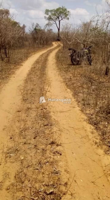 Shamba Linauzwa Heka 100 Mkata Tanga