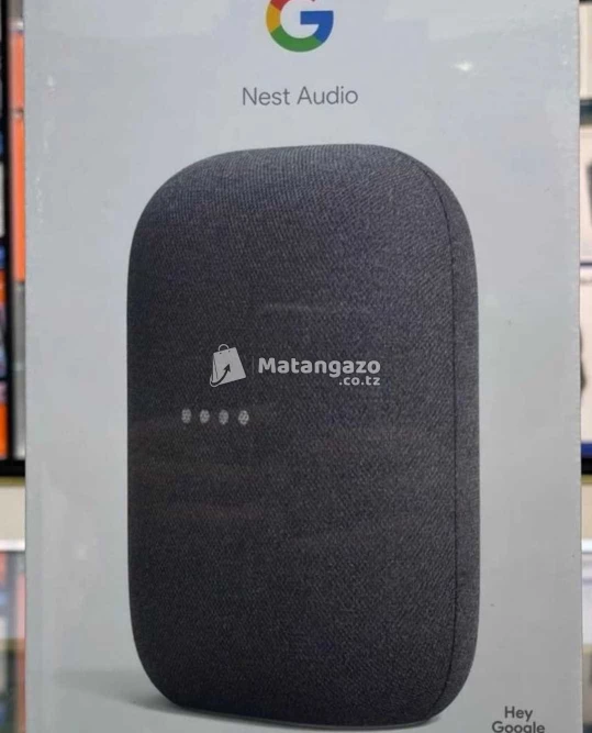 Google Nest Audio