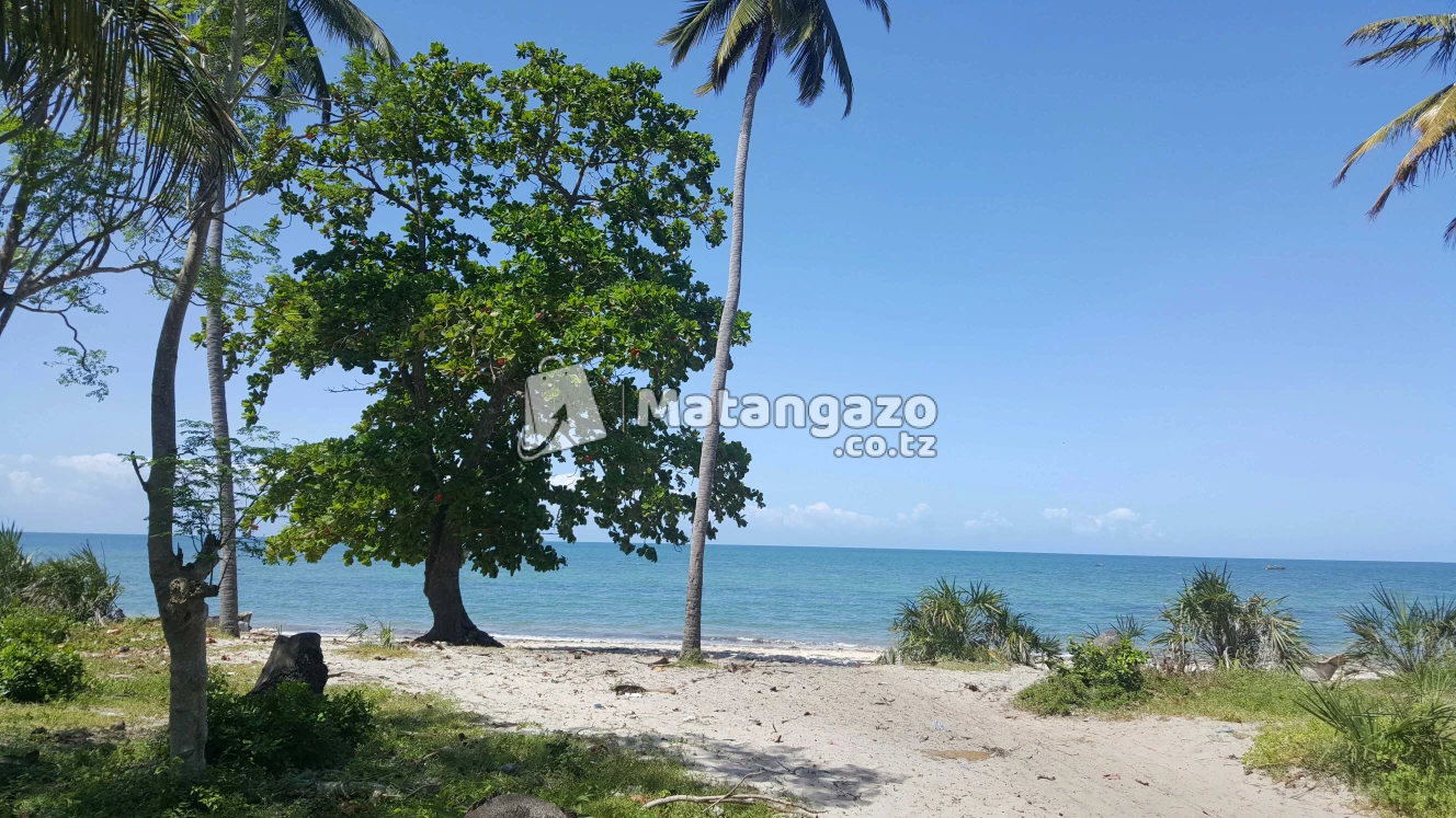 Beach  Plort  Inauzwa Tanga