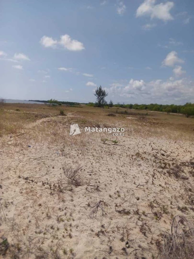 Beach Prote Inauzwa Saadan