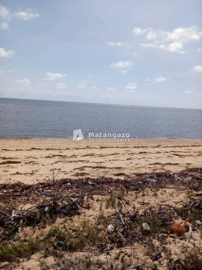 Beach Prote Inauzwa Saadan
