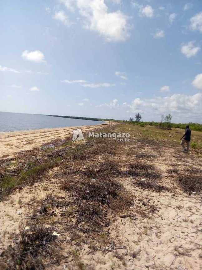 Beach Prote Inauzwa Saadan