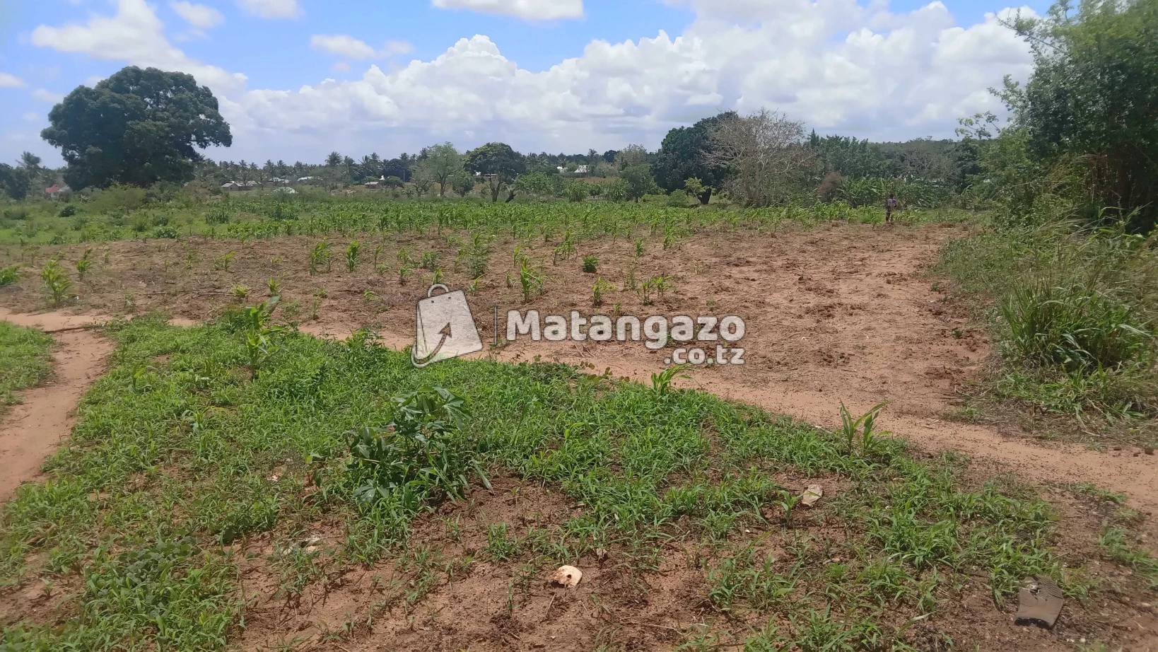 Ekari 5 Zinauzwa Bagamoyo Kiwangwa