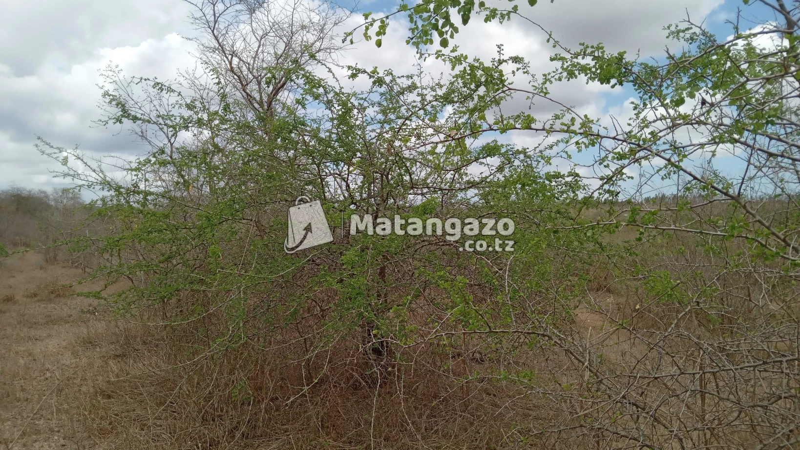Shamba Ekari Moja Inauzwa