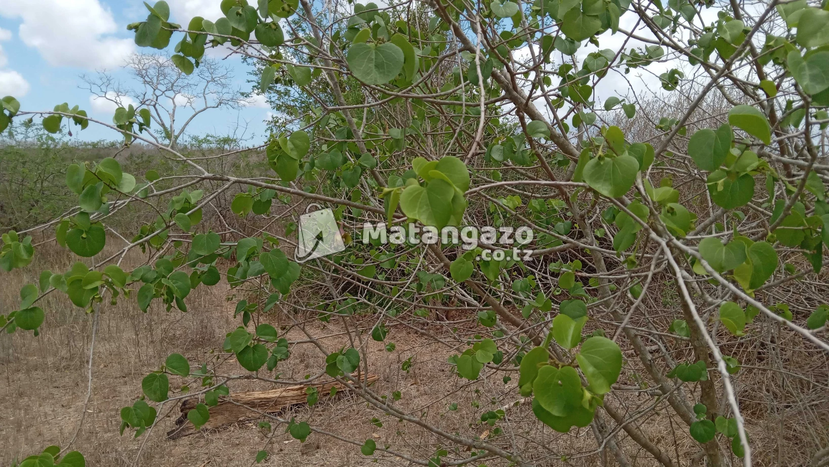 Shamba Ekari Moja Inauzwa