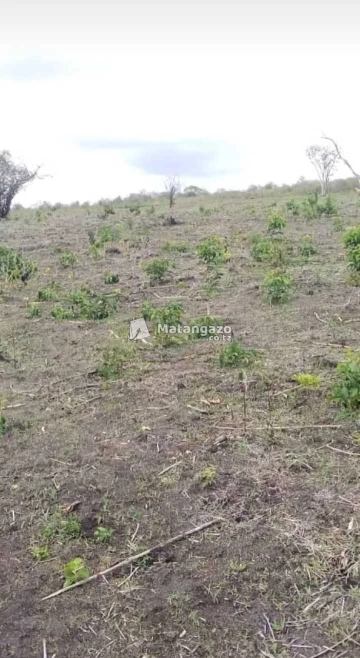 Shamba Heka 13 Linauwa Bagamoyo Kiwangwa