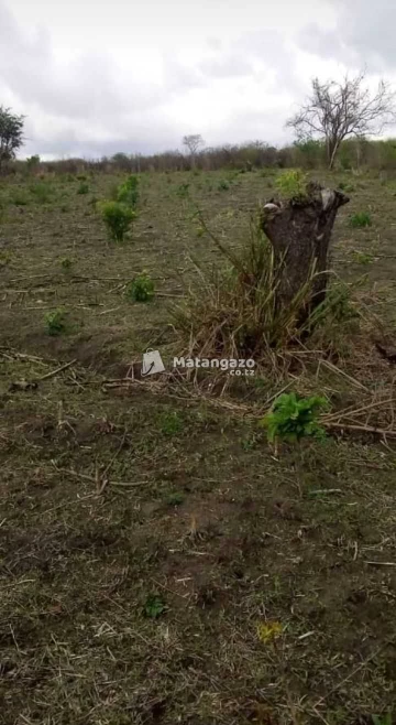 Shamba Heka 13 Linauwa Bagamoyo Kiwangwa
