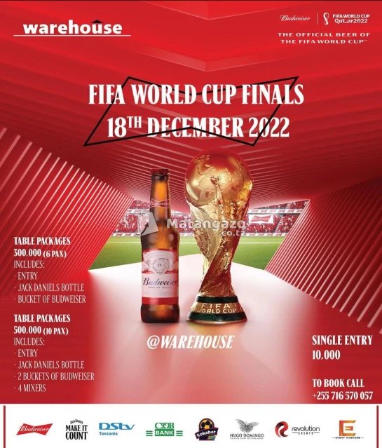 Fifa World Cup Finals