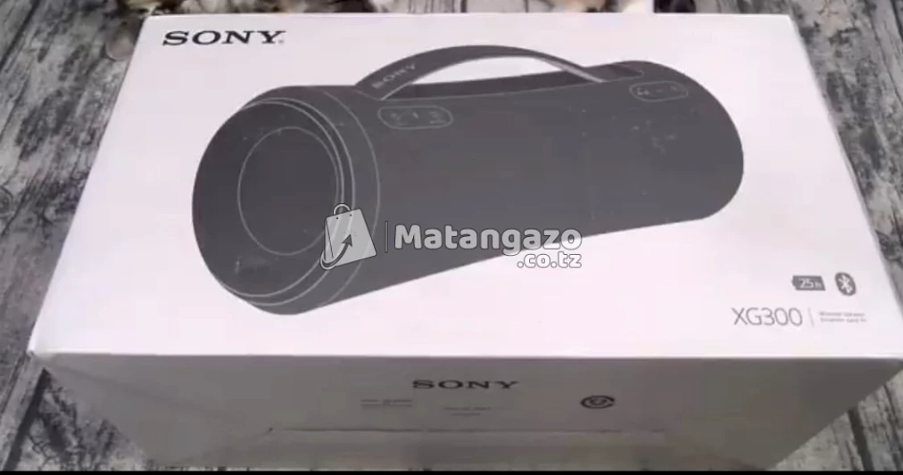 Sony Xg300 Speaker