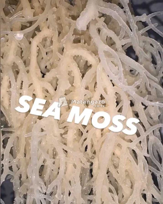 Seamos Powder (unga Wa Mwani )